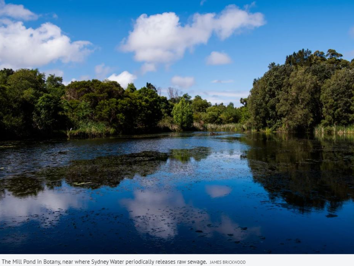 Say no to Sydney Water pumping raw sewage into Botany